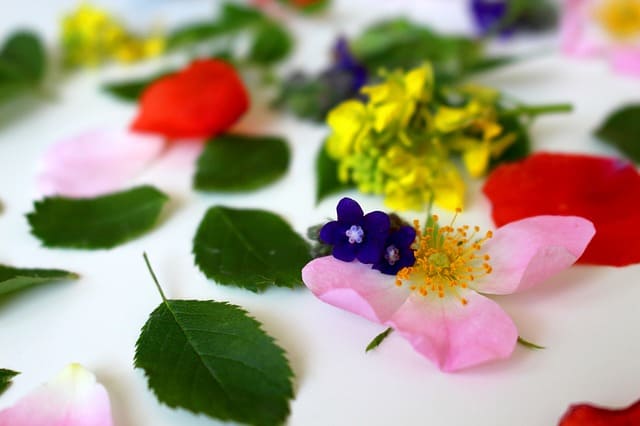 Flores de Bach